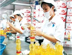 Tổng giám đốc mê GIS